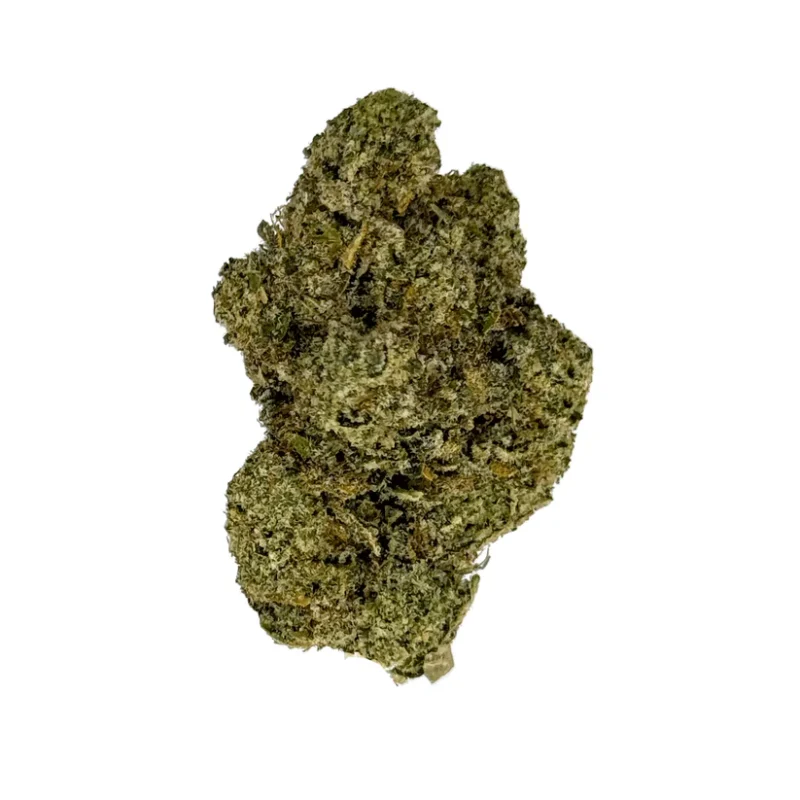 Baked Cookies Snowballs